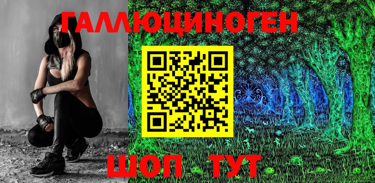 Канаш  Псилоцибиновые грибы Psilocybine cubensis  Вход с VPN 